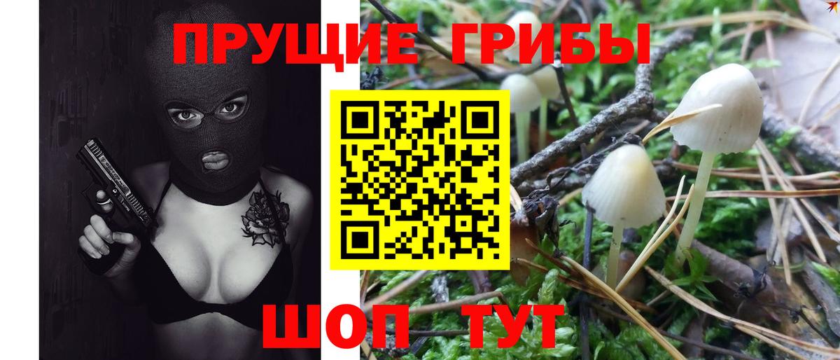 Псилоцибиновые грибы Magic Shrooms  Вход с VPN  Новозыбков 